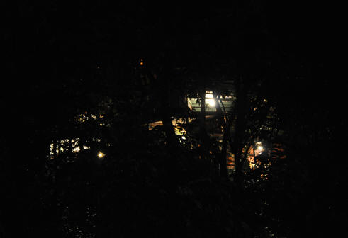 TreeTop House at night