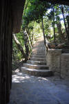 TreeTop House-jungle floor entrance