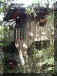 TreeTop House Monteverde from teh forest side.jpg (49258 bytes)